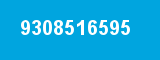9308516595