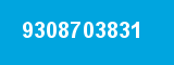 9308703831