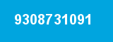 9308731091