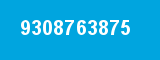 9308763875
