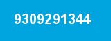 9309291344