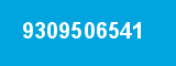 9309506541