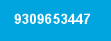 9309653447