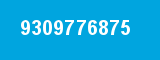 9309776875