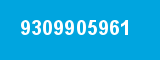9309905961