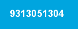 9313051304