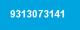 9313073141 9313073141