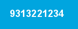9313221234 9313221234