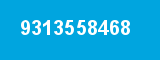 9313558468 9313558468