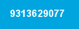 9313629077