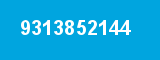 9313852144