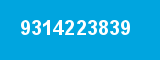 9314223839