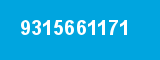 9315661171