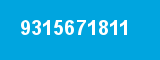 9315671811