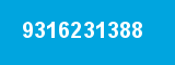 9316231388