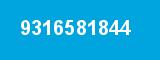 9316581844