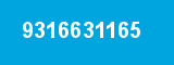 9316631165
