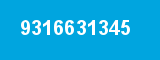 9316631345