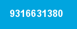 9316631380