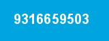 9316659503