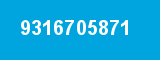 9316705871