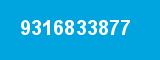 9316833877