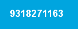 9318271163