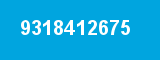 9318412675