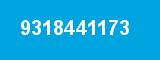 9318441173