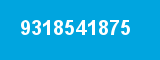 9318541875