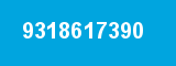9318617390