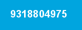 9318804975