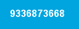 9336873668
