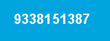 9338151387