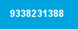 9338231388