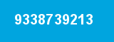 9338739213
