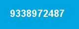 9338972487