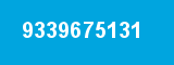 9339675131