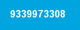 9339973308