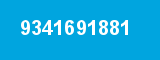 9341691881