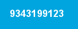 9343199123