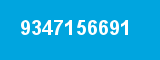9347156691