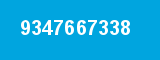 9347667338