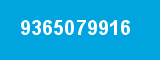 9365079916