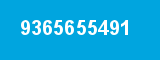 9365655491
