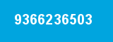 9366236503 9366236503