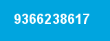 9366238617