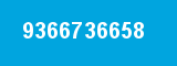 9366736658 9366736658