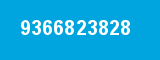 9366823828
