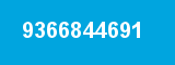 9366844691
